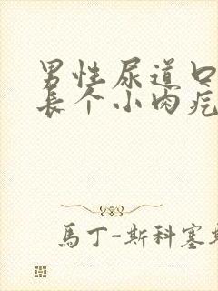 男性尿道口里面长个小肉疙瘩是怎么回事