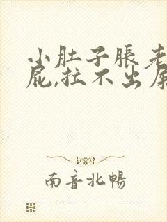 小肚子胀老是放屁,拉不出屎咋回事