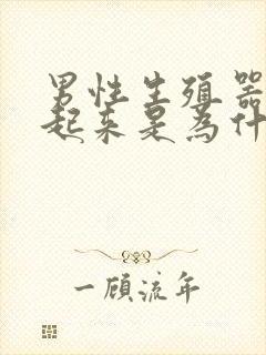 男性生殖器硬不起来是为什么