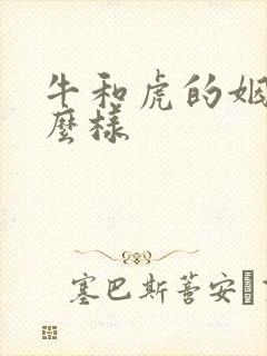牛和虎的姻缘怎么样