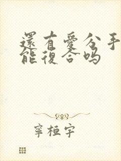 还有爱分手了还能复合吗