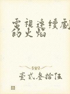 电视连续剧风中的火焰