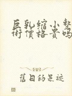 巨乳缩小整形手术价格贵吗