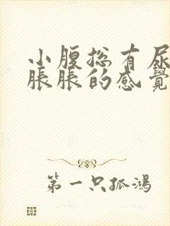 小腹总有尿意,胀胀的感觉封面