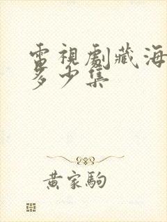 电视剧藏海传共多少集