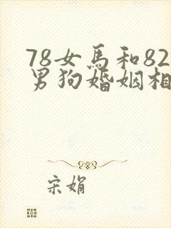 78女马和82男狗婚姻相配吗封面