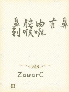 鼻腔内有鼻涕流到喉咙