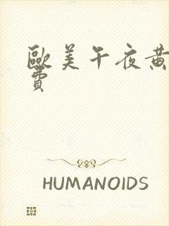 欧美午夜黄色免费