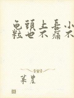 龟头上长小肉颗粒也不痛不痒封面