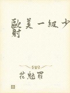 欧美一级少妇内射