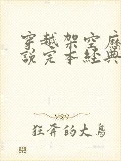 穿越架空历史小说完本经典之作封面