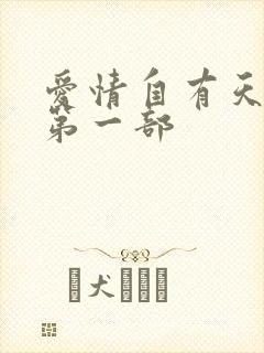 爱情自有天意 第一部