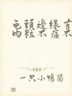 龟头边缘有一排肉粒不痛不痒封面