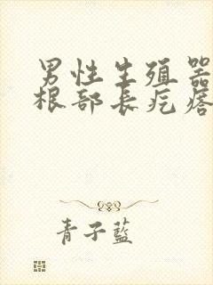 男性生殖器上面根部长疙瘩封面