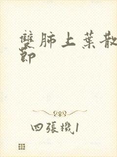 双肺上叶散在结节封面