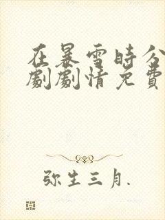 在暴雪时分电视剧剧情免费观看