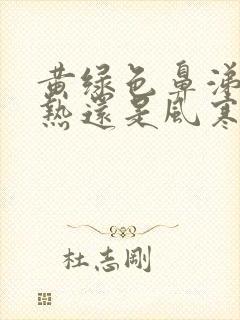 黄绿色鼻涕是风热还是风寒封面