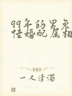 99年的男兔最佳婚配属相