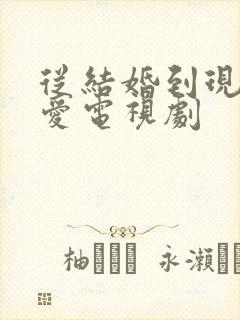 从结婚到现在恋爱电视剧封面