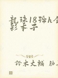 龙珠18号h全彩本子