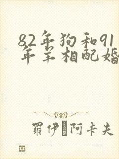 82年狗和91年羊相配婚姻如何