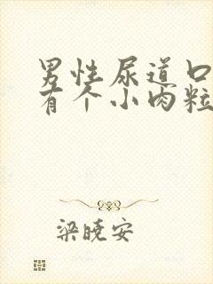 男性尿道口边上有个小肉粒