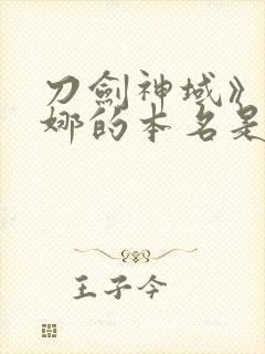 刀剑神域》亚丝娜的本名是什么封面