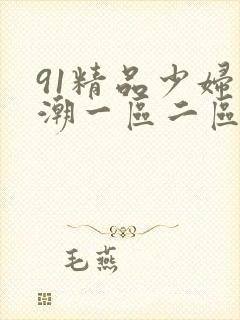 91精品少妇高潮一区二区三区不卡