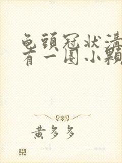 龟头冠状沟边缘有一圈小颗粒