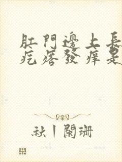 肛门边上长了个疙瘩发痒是怎么回事封面