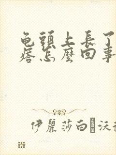 龟头上长了小疙瘩怎么回事封面