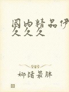 国内精品伊人久久久久