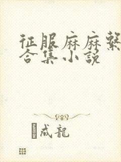 征服麻麻系列大合集小说