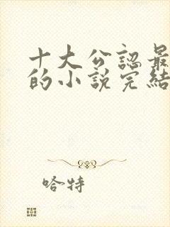 十大公认最好看的小说完结版封面