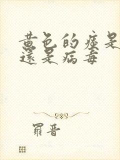 黄色的痰是细菌还是病毒