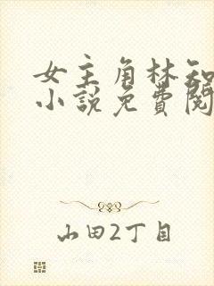 女主角林知夏的小说免费阅读