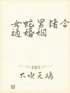 女蛇男猪合不合适婚姻