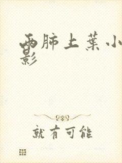 两肺上叶小结节影