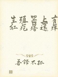 生殖器上有一排红疙瘩还痒