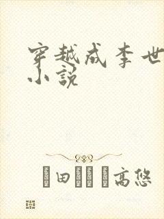 穿越成李世民的小说