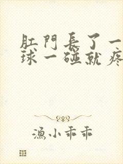 肛门长了一个肉球一碰就疼封面