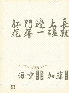 肛门边上长了个疙瘩一碰就疼