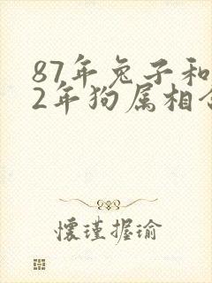 87年兔子和82年狗属相合不合