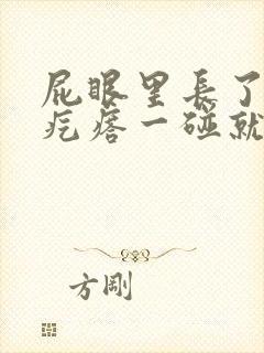 屁眼里长了个硬疙瘩一碰就很疼