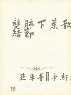 双肺下叶散在微结节封面