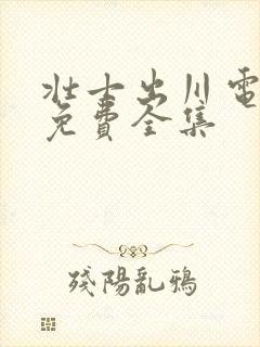 壮士出川电视剧免费全集