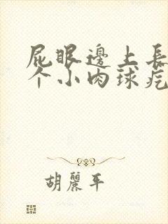 屁眼边上长了一个小肉球疙瘩