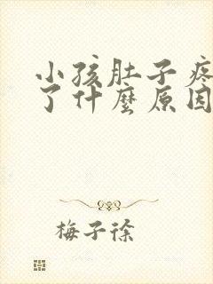 小孩肚子疼还吐了什么原因封面