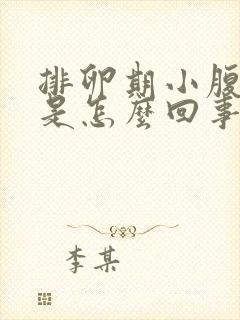 排卵期小腹胀痛是怎么回事封面