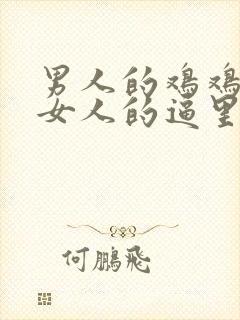 男人的鸡鸡插进女人的逼里